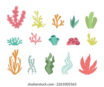 Seaweed set  simple