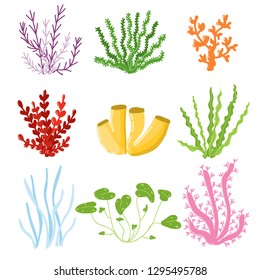 Seaweed. Set of underwater plants isolated on white background. Algae for the aquarium. Cartoon.