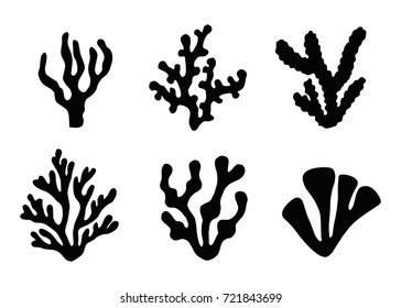 seaweed set vector icons