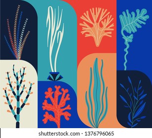 Seaweed set vector illustation. Icon set, colorfull background. Sea plants and aquatic marine algae.