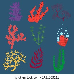 ilustración vectorial de las algas marinas, estilo de dibujo animado aislado en fondo azul