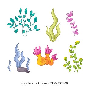 Seaweed set. Seaweed vector illustration in cartoon childish style. Isolated funny clipart on white background. cute print