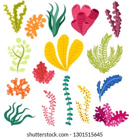 seaweed set, vector illustration isolated on white background