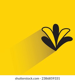 seaweed with shadow on yellow background