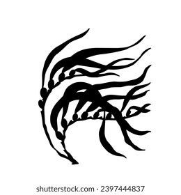 Seaweed silhouette.Sea grass doodle.Vector graphic.