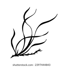 Seetang Silhouette.Sea Gras doodle.Vektor-Grafik.