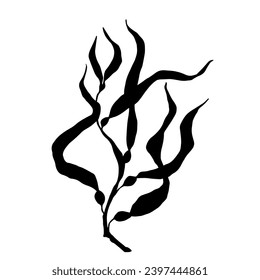 Seaweed silhouette.Sea grass doodle.Vector graphic.