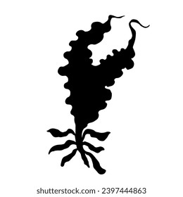 Seaweed silhouette.Sea grass doodle.Vector graphic.