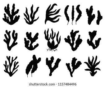 Seaweed Silhouette Isolated. Marine Plants On White Background.