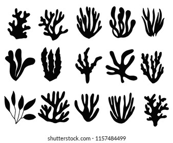 Seaweed Silhouette Isolated. Marine Plants On A White Background Set.