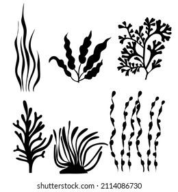 seaweed silhouette, on white background, vector, isolated