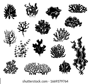 Seaweed silhouettes. Black icons of coral elements and underwater wildlife plant marine vector set