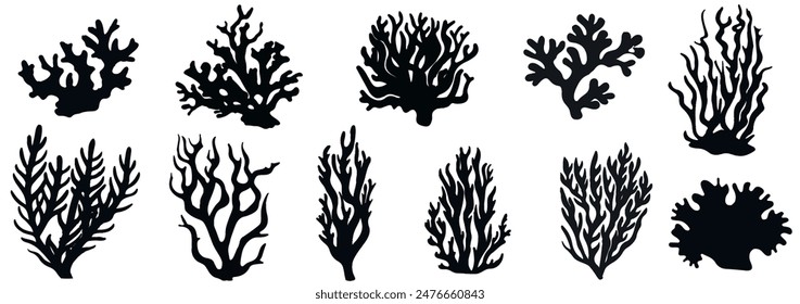 Seaweed silhouettes, coral black icon. Abstract organic shape, underwater plant, matisse element, cute sea doodle. Cartoon marine floral set isolated on white background.