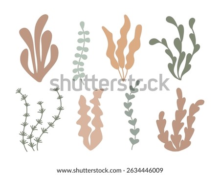 Seaweed silhouettes set in boho style. Simple sea plants. Underwater botanical element for ocean themed design, nursery prints, packaging, sticker, summer graphic, organic packaging, patterns
