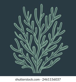 Seaweed simple graphic illustration vetor