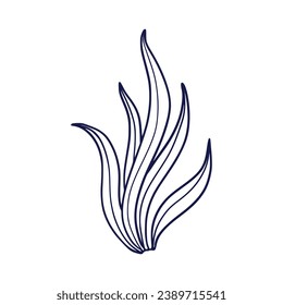 Seaweed sketch. hand drawn Seaweed outline illustration. Seaweed black and white vector drawing. Seaweed isolated on white background. vector illustration. Seaweeds line art drawing. Seagrass.