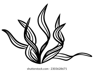 Seaweed spirulina marine plant black silhouette vector icon. Simple aquarium seaweed hand drawn contour isolated on white background. Black marine beach graphic element.