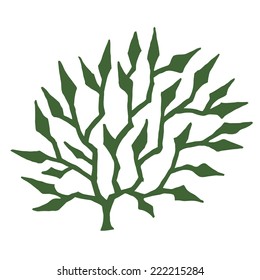 seaweed - stylized vector illustration