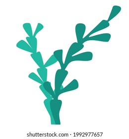 Seaweed two shades green silhouette logo, icon on white background