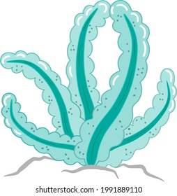 Seaweed for under water illustration or sea scenery. Can use for sea world background.