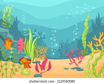 Algen unter Wasser Hintergrund. Ökosystem Ozean, Meereswelt mit Korallen und Unkraut. Naturseeboot oder See helle Illustration. Nüchterne Vektorgrafik-Meereslandschaft