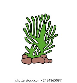  Seaweed and Underwater Plants Doodle Hand Drawn