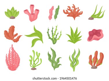 Seaweed underwater plants from sea bottom or aquarium decor vector illustration set. Cartoon brown green kelp or marine algae growing in water, red ocean corals in marine collection isolated on white