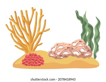 seaweed underwater scene nature sealife