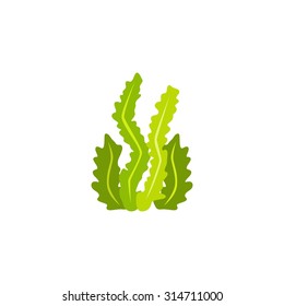 Seaweed Vector