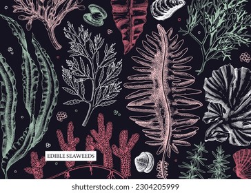 Seaweed vector background in sketch style. Edible algae - golden kelp, wakame, kombu, hijiki, rish moss drawings. Underwater plant botanical illustration in color. Healthy food, cosmetics ingredients