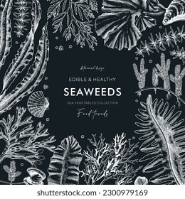 Seaweed vector card design on chalkboard. Edible algae vintage frame with golden kelp, wakame, kombu, hijiki, Irish moss drawings in sketch style. Underwater plant botanical illustration for prints 