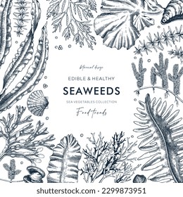 Seaweed vector card design in sketch style. Edible algae frame with golden kelp, wakame, kombu, hijiki, Irish moss drawings. Underwater plant botanical illustration for prints and illustrations