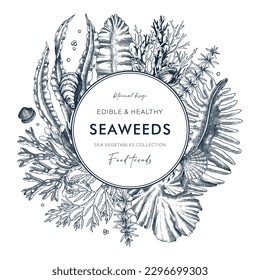 Seaweed vector card or invitation design. Edible algae vintage wreath with golden kelp, wakame, kombu, hijiki, Irish moss drawings in sketch style. Underwater plant botanical illustration in color