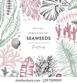 Seaweed vector card or invitation design. Edible algae vintage frame with golden kelp, wakame, kombu, hijiki, and Irish moss drawings in sketch style. Underwater plant botanical illustration in color