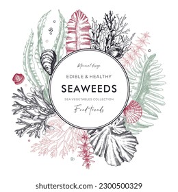 Seaweed vector card or invitation design. Edible algae vintage wreath with golden kelp, wakame, kombu, hijiki, Irish moss drawings in sketch style. Underwater plant botanical illustration in color