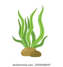 Seaweed vector icon. Colorful sea herb, kelp. Ocean algae on the seabed among the stones. Aquatic reef plant, underwater grass. Hand drawn cartoon doodle. Isolated flat clipart for print, web, posters