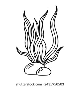 Seaweed vector icon. Edible sea herb, kelp. Ocean algae on the seabed among the stones. Aquatic reef plant, seafood. Hand drawn black and white doodle, sketch. Simple isolated clipart for print, web