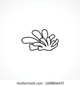 Seaweed vector icon on white background