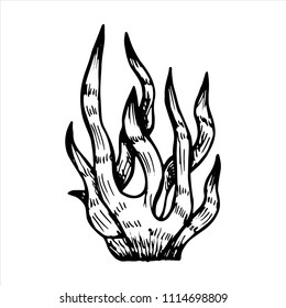 seaweed vector icon sketch. isolated on white background