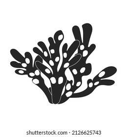 Icono vector de algas marinas.Icono vector negro aislado en algas marinas de fondo blanco.
