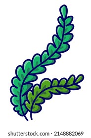 Seaweed vector illustration in flat style. 