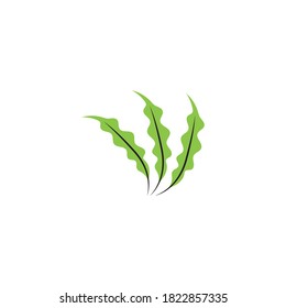 seaweed vector illustration template design