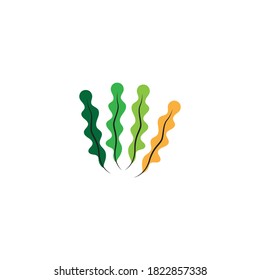 seaweed vector illustration template design