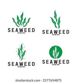 seaweed vector illustration template design