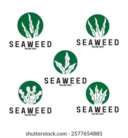 seaweed vector illustration template design