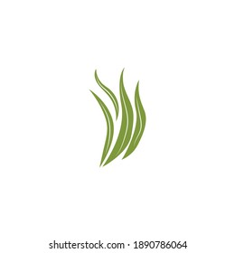 seaweed vector image symbol logo