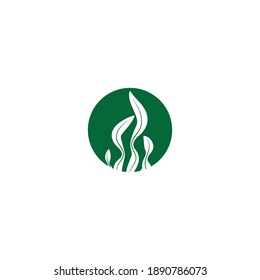 seaweed vector image symbol logo