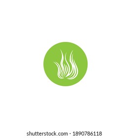 seaweed vector image symbol logo