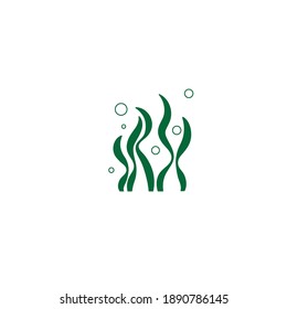 seaweed vector image symbol logo