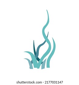 Seaweed. Vector isolated illustration on white background.